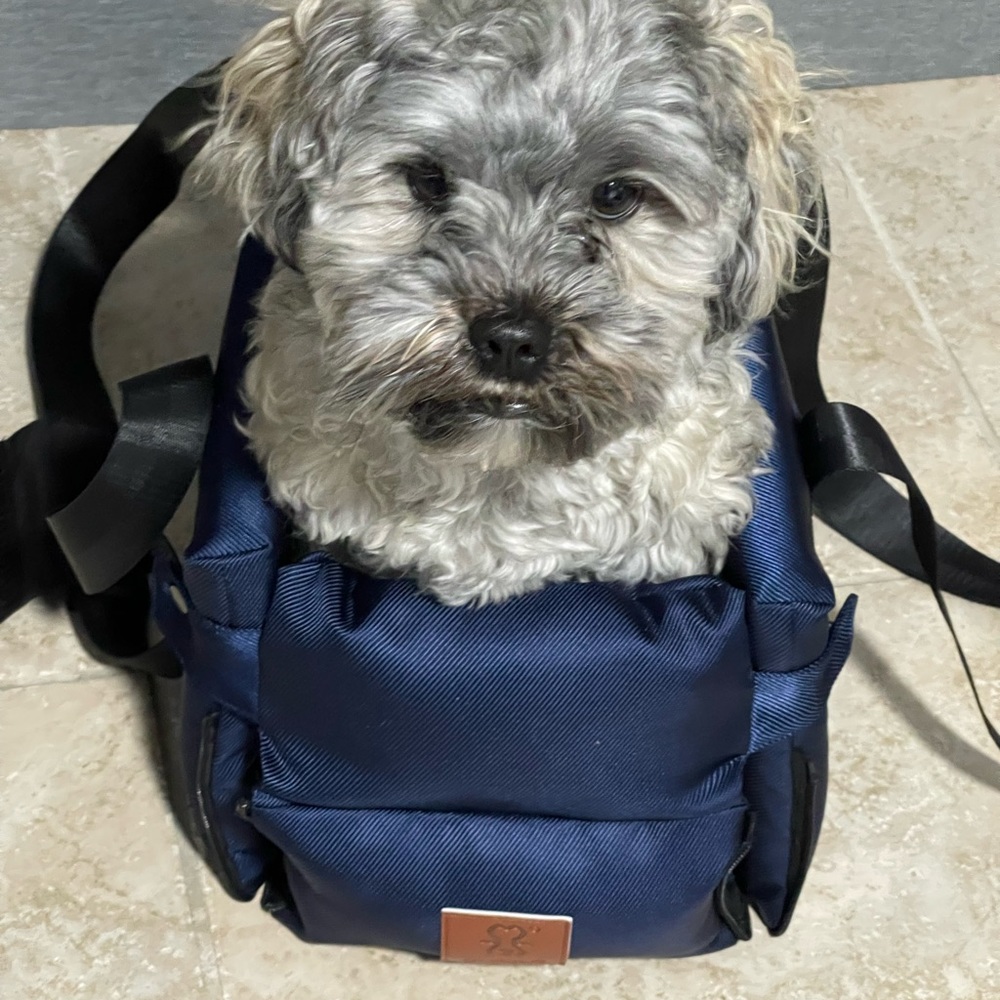 Dog console car seat
